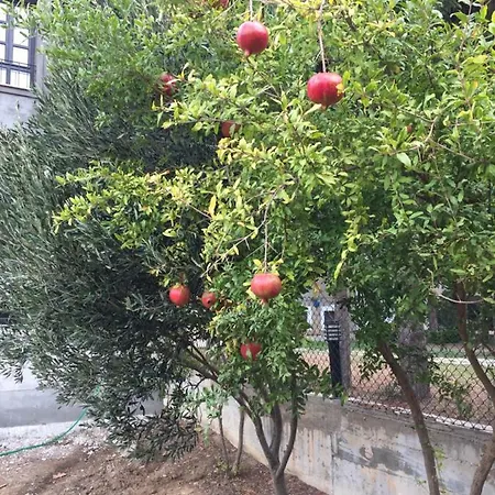 La Kalinda Butik ボズカーダ