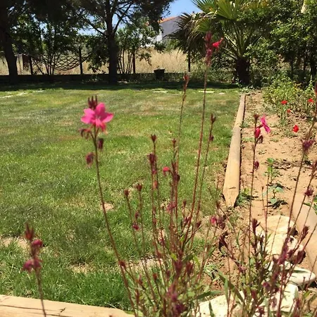 La Kalinda Butik ボズカーダ