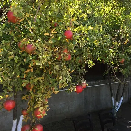 La Kalinda Butik ベッド・アンド・ブレックファスト ボズカーダ